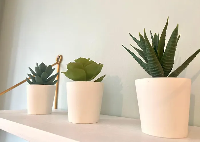 Appartement Le 202, Un Studio Cosy Au Coeur De *